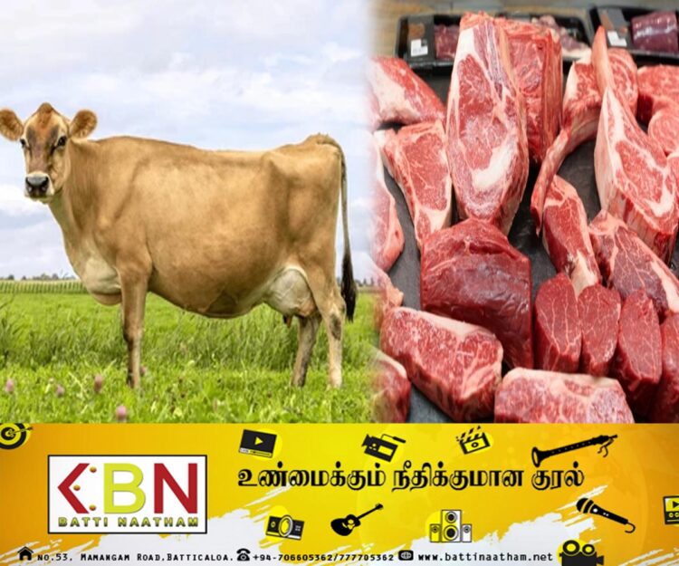 யாழில் சட்டவிரோதமான முறையில் மாட்டிறைச்சி கடத்திய இருவர் கைது!