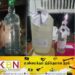 யாழில் கசிப்பு விற்பனையில் ஈடுபட்ட பெண் கைது!
