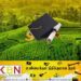 மலையக பட்டதாரிகளுக்கு ஆசிரிய நியமனம் வழங்கத் திட்டம்!