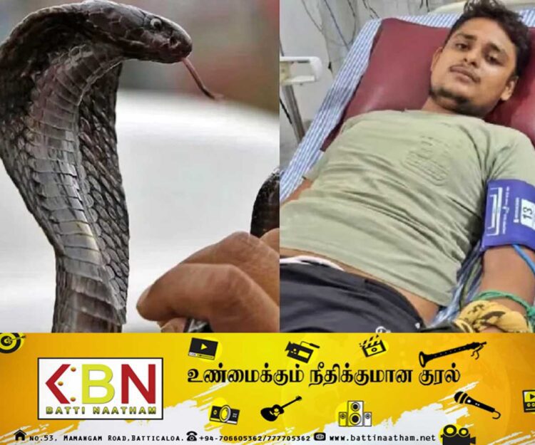 40 நாளில் 07 முறை பாம்பு கடிக்குள்ளான இளைஞன்!
