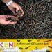 மினுவாங்கொட பிரதேசத்தில் T-56 துப்பாக்கி ரவைகள்144 மீட்பு!