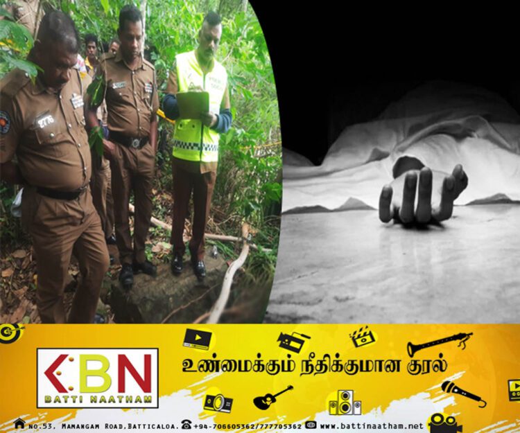 மரக்கிளை விழுந்து ஒருவர் உயிரிழப்பு!