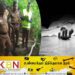 மரக்கிளை விழுந்து ஒருவர் உயிரிழப்பு!