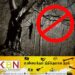 யாழில் போதைப்பொருளுக்கு அடிமையானவர் தற்கொலை!