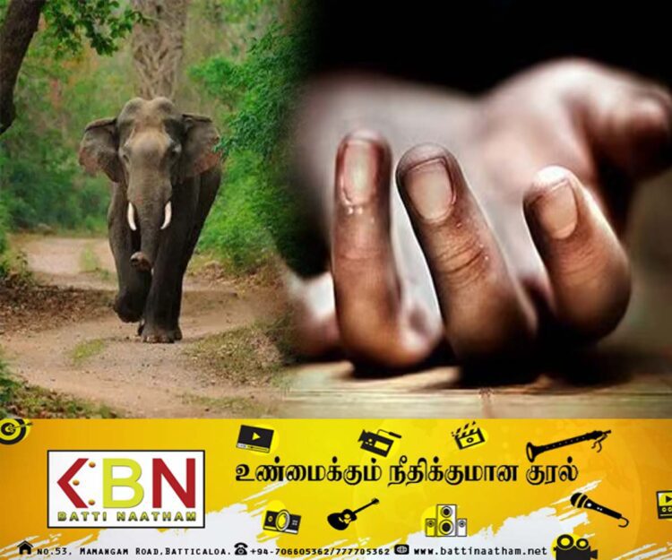 மகியங்கனையில் காட்டு யானை தாக்குதலில் ஒருவர் பலி!