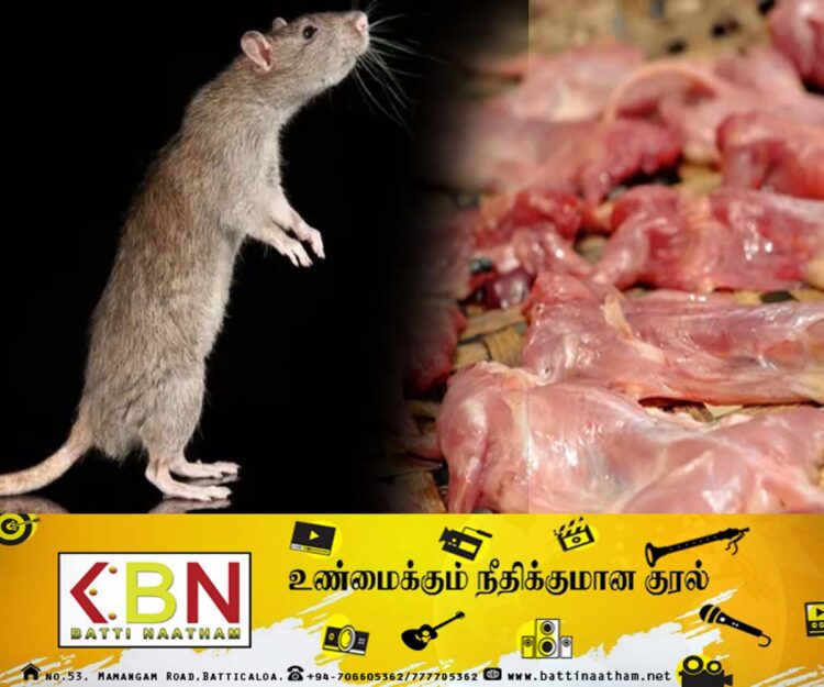 கந்தளாயில் நாற்பது கிலோ எலி இறைச்சிகளுடன் இருவர் கைது!