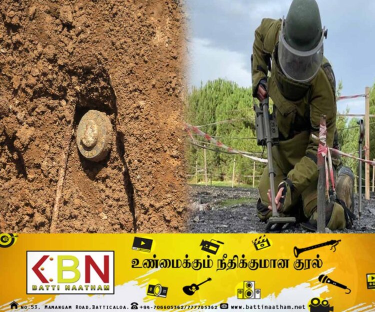மட்டு திருப்பெரும்துறை பகுதியில் புதைக்கப்பட்டிருந்த நிலையில் 12 நிலக் கண்ணிவெடிகள் மீட்பு!