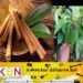 கறுவாச் செய்கை அபிவிருத்திக்காக புதிய திணைக்களம் திறந்து வைத்த ஜனாதிபதி!