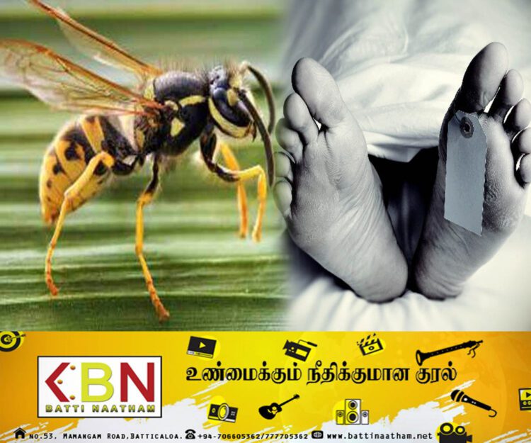 குளவிக் கொட்டுக்கு இலக்காகிய பெண் உயிரிழப்பு!