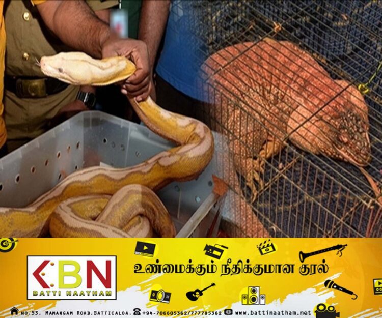 சட்டவிரோதமான முறையில் கடல் வழியாக விலங்குகளை கடத்தியவர்கள் கைது!