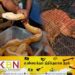 சட்டவிரோதமான முறையில் கடல் வழியாக விலங்குகளை கடத்தியவர்கள் கைது!