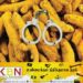 இந்தியாவிலிருந்து சட்டவிரோதமாக கொண்டுவரப்பட்ட மஞ்சள்; இருவர் கைது!