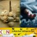 தேங்காய் களவெடுக்க சென்ற இடத்தில் காணி உரிமையாளரை குத்தி கொன்ற நபர்!