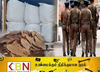 கற்பிட்டி காட்டுப்பகுதிக்குள் மறைத்து வைக்கப்பட்டிருந்த ஒருதொகை பீடி இலைகள் மீட்பு!