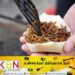 உணவுப்பழக்க பட்டியலில் 16 வகை புழு மற்றும் பூச்சியினங்களை சேர்ந்த சிங்கப்பூர்!
