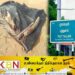 பூனைப்பிட்டி கடற்கரையோரத்தில் கரையொதுங்கியுள்ள பெண்ணின் சடலம்!