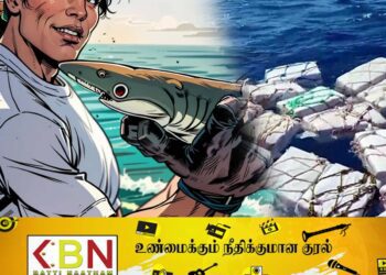 சுறாமீன்களின் உடலிற்குள் போதைப்பொருள் கண்டுபிடிப்பு!