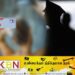 பெண் பொலிஸ் அதிகாரி குளிப்பதை மறைந்திருந்து படம் பிடித்த ஆண் பொலிஸ் கான்ஸ்டபிள்!