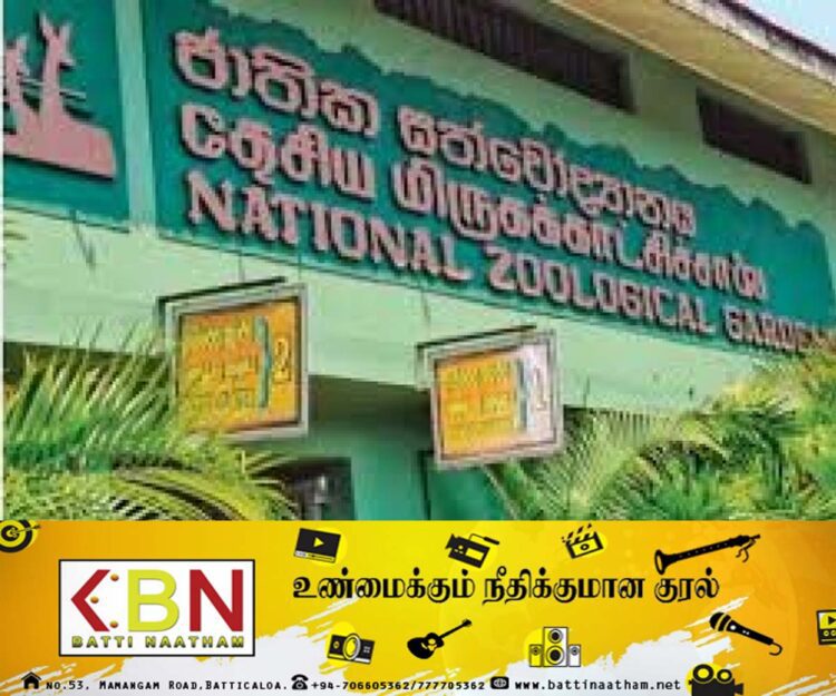 தெஹிவளை தேசிய மிருகக்காட்சிசாலையை இன்று இலவசமாக பார்வையிடலாம்!