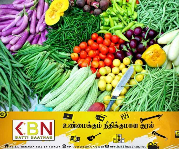 மரக்கறிகளின் விலையில் ஏற்பட்டுள்ள மாற்றம்!