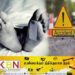 யாழில் வாகன விபத்து; முதியவர் உயிரிழப்பு!