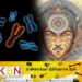 அழிவை நெருங்கும் ஆண் இனம்; ஆய்வில் பரபரப்பு தகவல்!