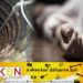 காதலியை சந்திக்க சென்ற காதலன் கிணற்றில் விழுந்து உயிரிழப்பு!