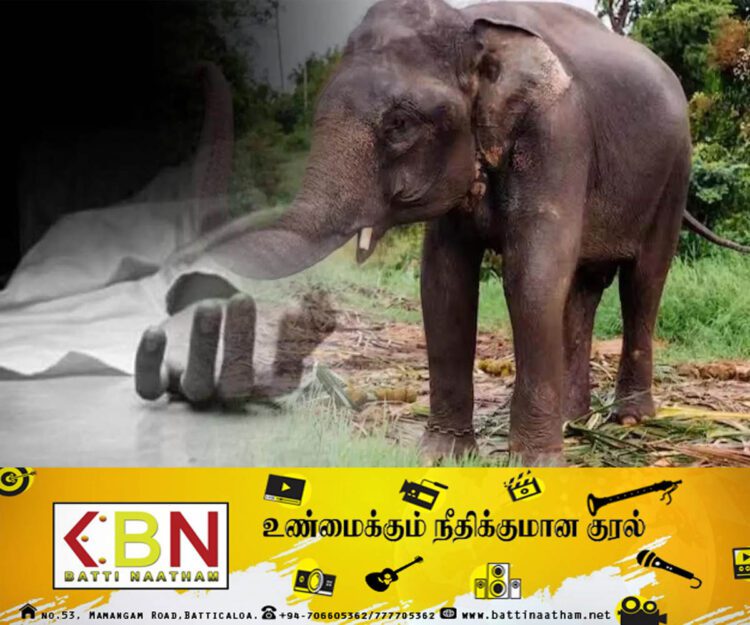 எஹதுவாகம பகுதியில் யானை தாக்கி ஒருவர் பலி!