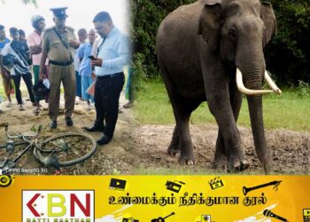 அம்பாறை மாவட்டத்தில் தொடரும் யானைகளின் அட்டகாசம்; ஒருவர் உயிரிழப்பு!