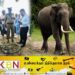 அம்பாறை மாவட்டத்தில் தொடரும் யானைகளின் அட்டகாசம்; ஒருவர் உயிரிழப்பு!