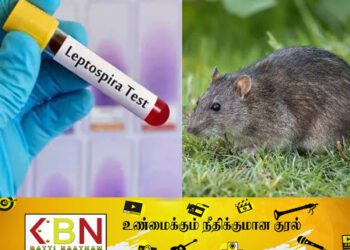 இந்தியாவில் எலிக்காய்ச்சலால் 121 பேர் உயிரிழப்பு!