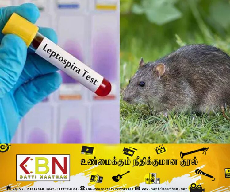 இந்தியாவில் எலிக்காய்ச்சலால் 121 பேர் உயிரிழப்பு!