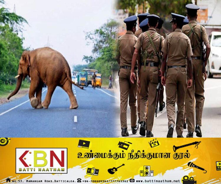 துண்டு துண்டாக வெட்டி தீ வைத்து எரிக்கப்பட்ட நிலையில் காட்டு யானையின் சடலம் மீட்பு!