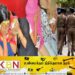 கல்கிசையில் மசாஜ் நிலையம் என்ற போர்வையில் விபச்சார விடுதி; நான்கு பெண்கள் கைது!