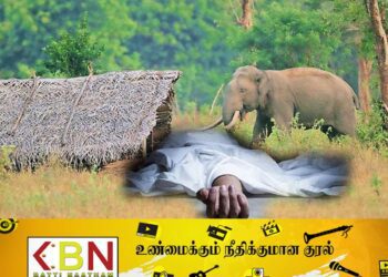 வவுனியாவில் யானை தாக்குதலுக்கு இலக்காகி பெண்ணொருவர் பலி!