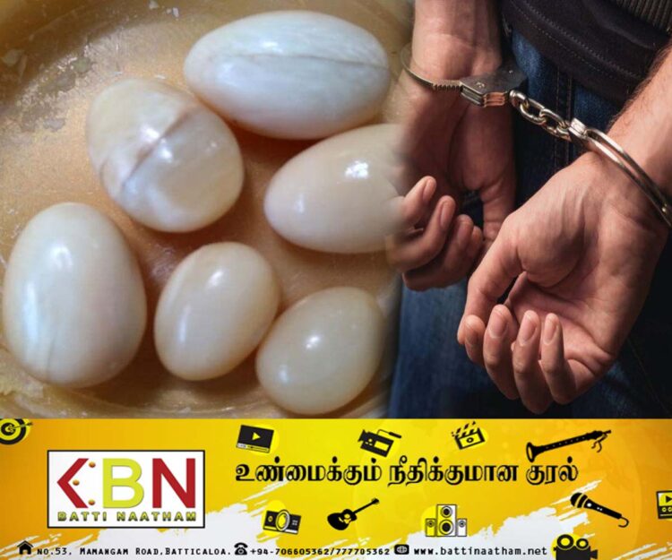 கஜ முத்துக்களுடன் ஆசிரியர் உட்பட நால்வர் கைது!