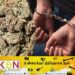 கொழும்பு பகுதியில் கேரள கஞ்சாவுடன் இருவர் கைது!