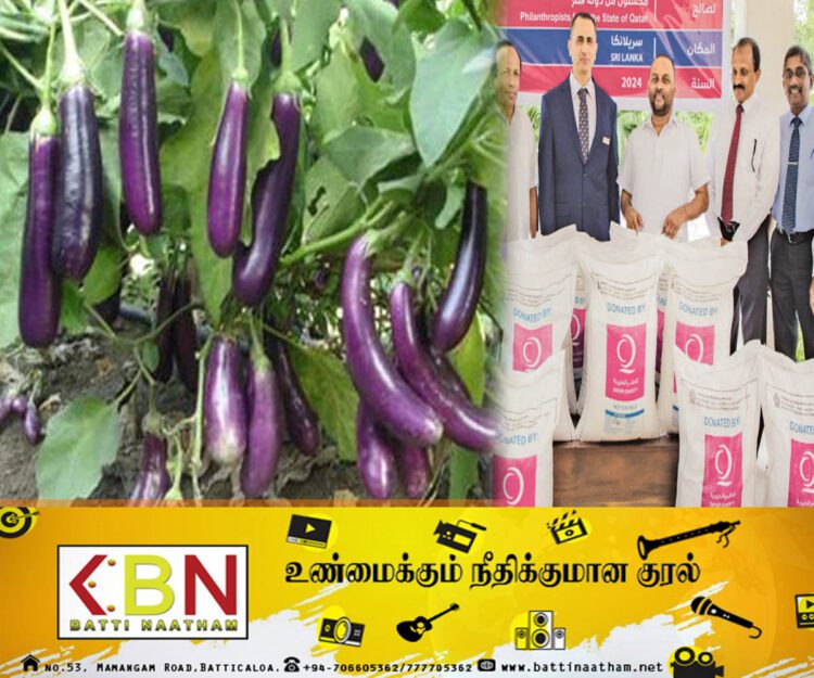 மரக்கறிச் செய்கையில் ஈடுபடும் விவசாயிகளுக்கு இலவச உரம்!
