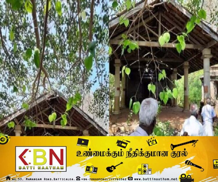 30 வருட காலங்களுக்கு பின் கீரிமலை கிருஸ்ணர் ஆலய வழிபாடுகளுக்கு அனுமதி!