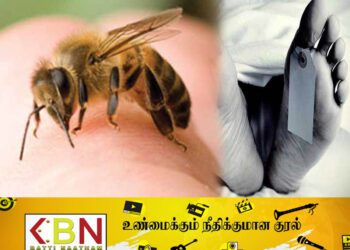 குளவி கொட்டுக்கு இலக்கான நபர் உயிரிழப்பு!