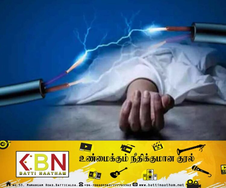 விலங்குகளுக்காக வைக்கப்பட்டிருந்த மின்சாரத்தில் சிக்கி இளைஞன் உயிரிழப்பு!