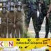 போலி விசேட அதிரடிப்படையினரால் பெருந்தொகை பணம் மோசடி!