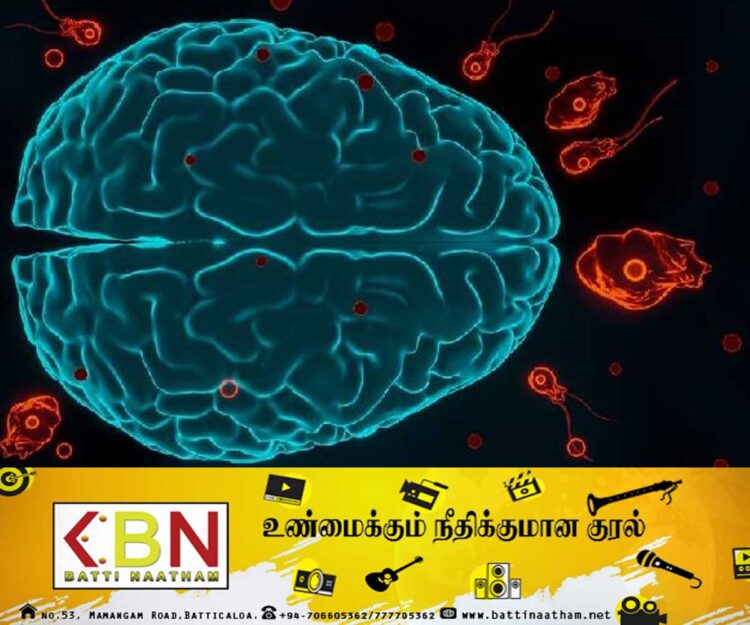 கேரளாவில் வேகமாக பரவி வரும் மூளையை உண்ணும் பக்டீரியா!