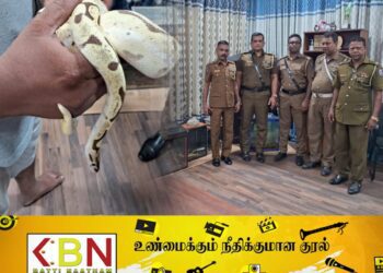 வத்தளையில் வெளிநாட்டு பாம்புகளுடன் மூவர் கைது!