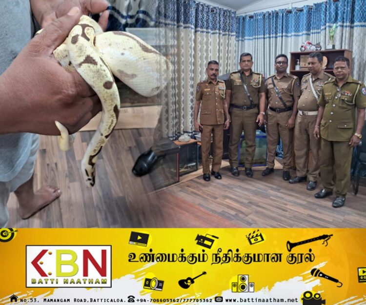 வத்தளையில் வெளிநாட்டு பாம்புகளுடன் மூவர் கைது!