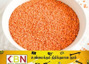 கொழும்பு பகுதியிலுள்ள கடையொன்றில் மனித பாவனைக்கு உதவாத 1,000 கிலோ பருப்பு கைப்பற்றல்!