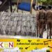 சட்டவிரோதமாக கொண்டுவரப்பட்ட 650 கையடக்க தொலைபேசிகள் பறிமுதல்!