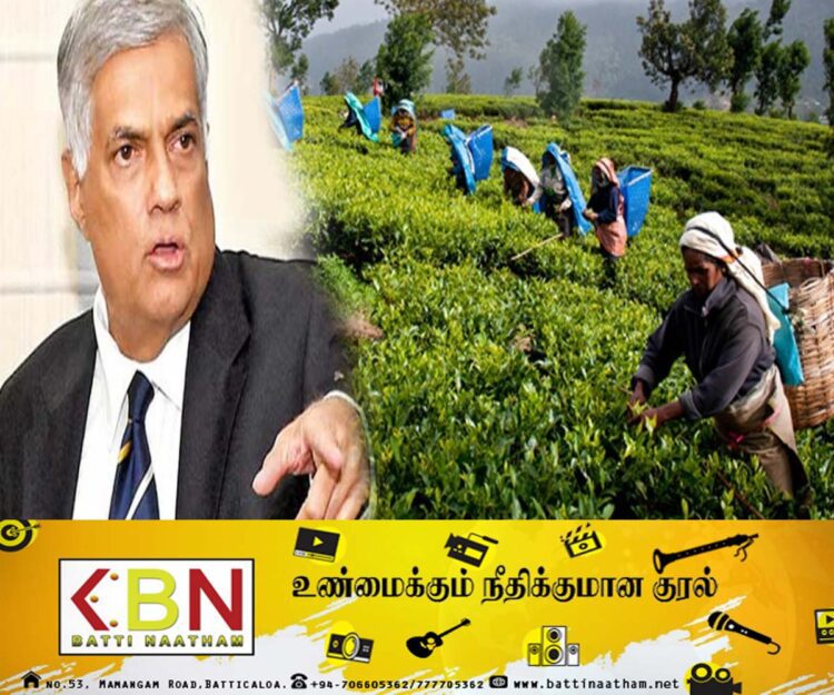 தோட்டத் தொழிலாளர்களுக்கு ரணில் அளித்த அதிர்ச்சி தகவல்!