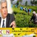 தோட்டத் தொழிலாளர்களுக்கு ரணில் அளித்த அதிர்ச்சி தகவல்!