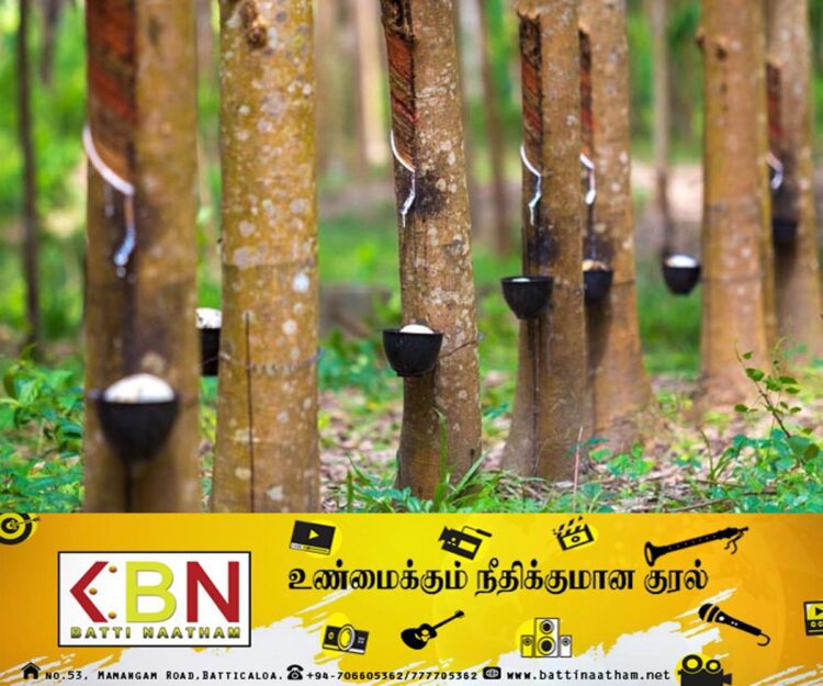 இறப்பர் செய்கைக்காக பயன்படுத்தப்படும் உர மூட்டையின் விலையை குறைக்குமாறு ஆலோசனை முன்வைப்பு!